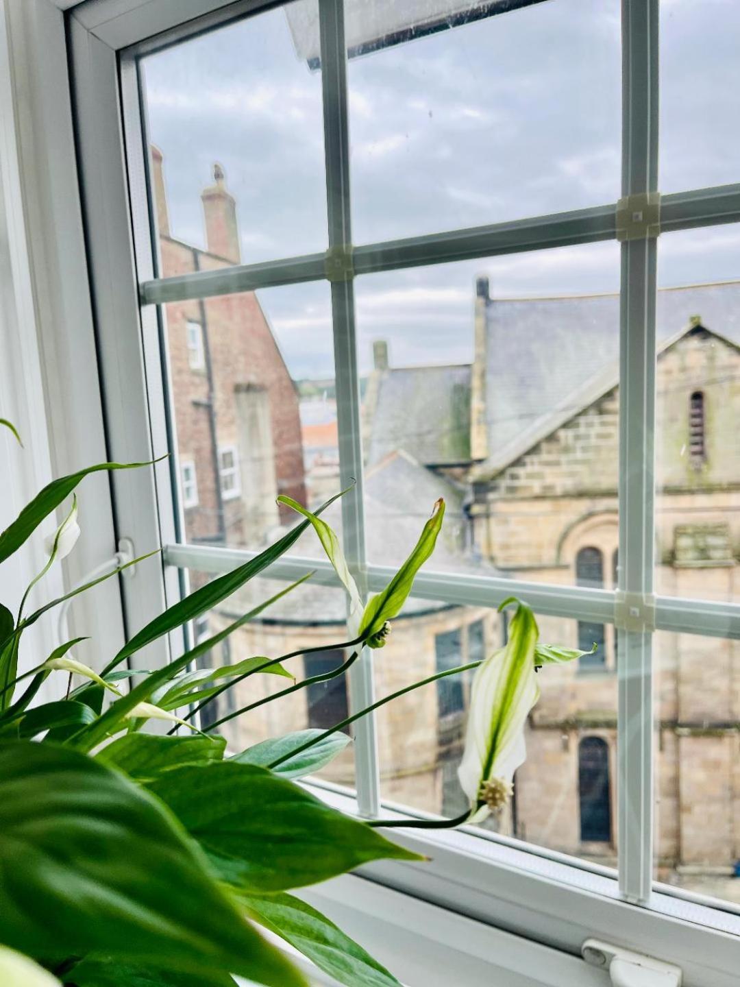 Ingleside Mews Lejlighed Whitby Eksteriør billede